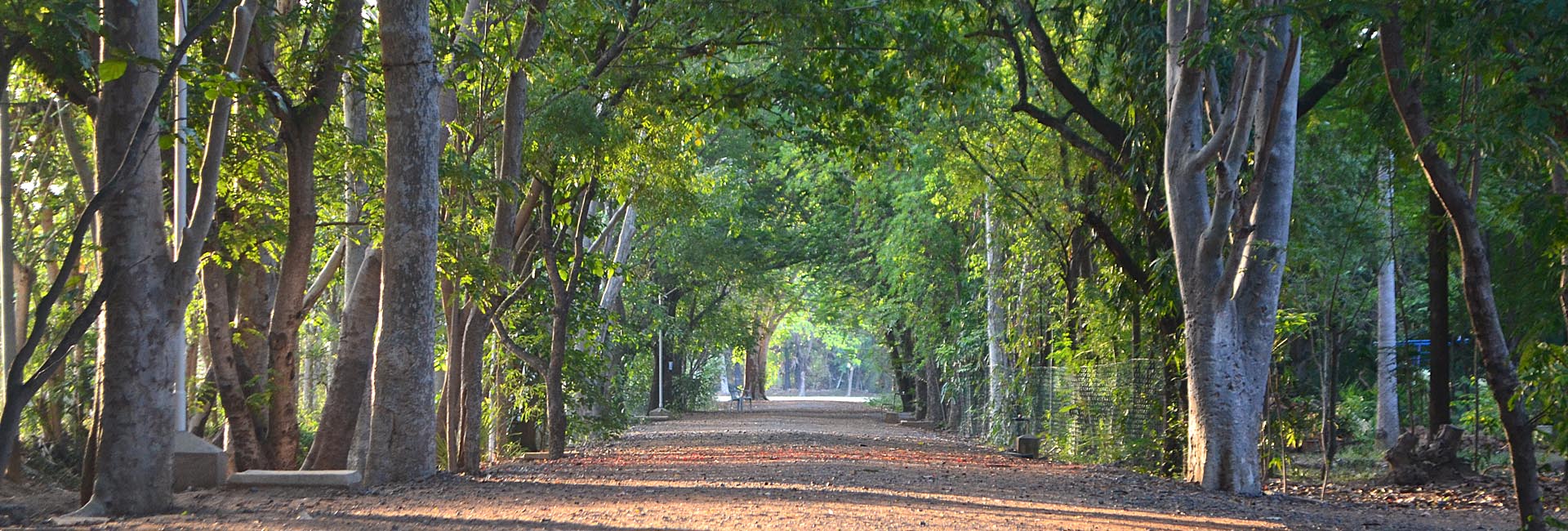 Good Earth School Affiliated to the Council for the Indian School